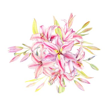 Suluboya lilyum illüstrasyon, beyaz bir arka plan üzerinde izole,