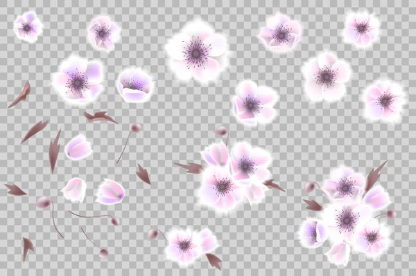 Csokor virág design elem, elegáns rózsaszín fehér anemone virágok, elszigetelt fehér background. Lehet használni esküvői meghívók, üdvözlőlapok. — Stock Vector