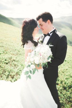 Güzel, mutlu gelin ve şık damat güneşli, çarpıcı dağların arka planında poz veriyor.