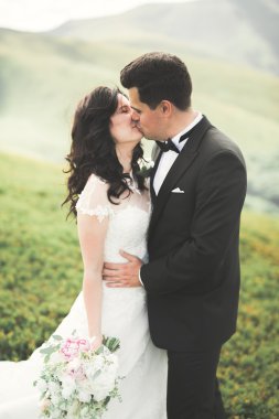 Güzel bir düğün çifti mükemmel bir manzarayla dağda öpüşüyor ve sarılıyor.