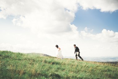 Güzel, mutlu gelin ve şık damat güneşli, çarpıcı dağların arka planında poz veriyor.
