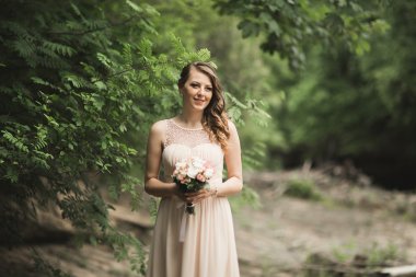 Ayakta dağlar arka plan üzerinde Nehri yakınında giysi güzel lüks genç gelin inwedding