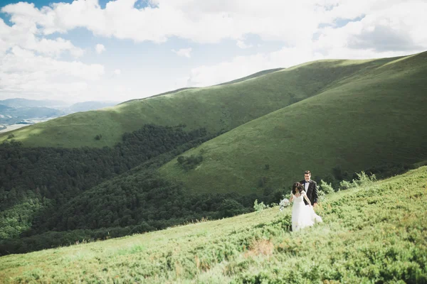 Besos boda pareja estancia sobre hermoso paisaje —  Fotos de Stock