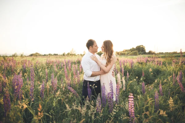 Casal bonito, noiva, noivo beijando e abraçando no pôr do sol campo — Fotografia de Stock