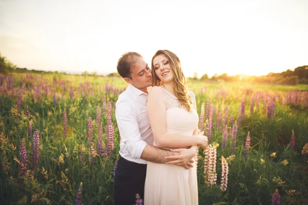 美丽的新婚夫妇，爱在日落。字段与花 — 图库照片