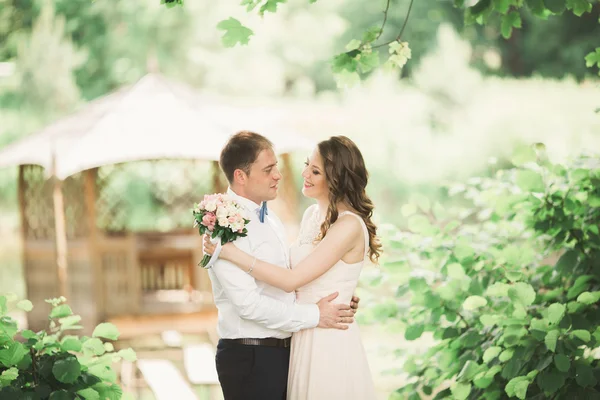 Мила пара закоханих цілує один одного на день весілля, стоячи в парку на відкритому повітрі біля озера — стокове фото