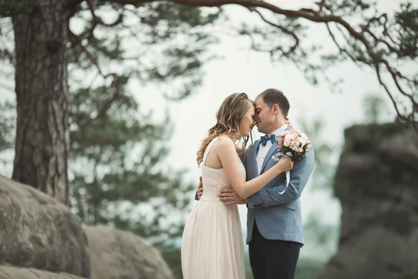 Splendida sposa, sposo baciare e abbracciare vicino alle scogliere con vista mozzafiato — Foto Stock