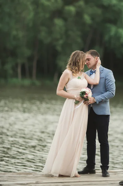 Элегантная красивая свадебная пара позирует у озера на закате — стоковое фото