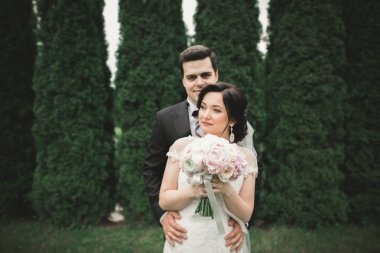 Güzel romantik bir çift yeni evliler gün batımında parkta sarılıyorlar.