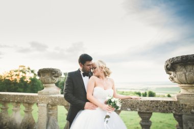 Mutlu düğün kaç sarılma ve öpüşme üzerinde arka plan eski kale