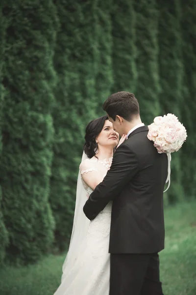 Stilvolles Brautpaar spaziert am Hochzeitstag mit Blumenstrauß durch den Park — Stockfoto