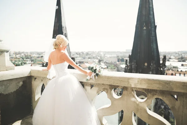 Gyönyörű luxus menyasszony az erkélyen tökéletes táj — Stock Fotó