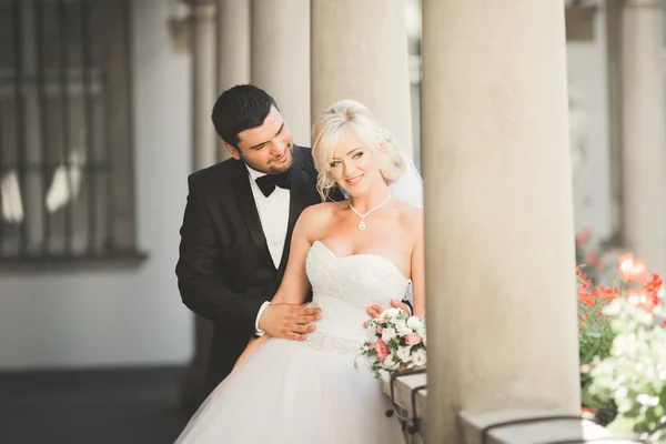 Perfekt par brud, brudgum poserar och kysser på sin bröllopsdag — Stockfoto