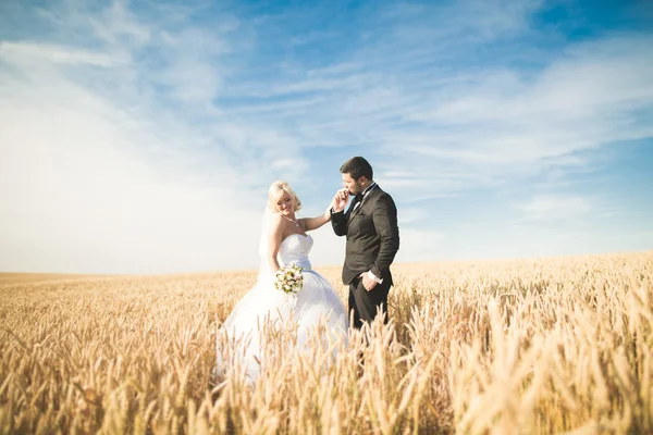 Casal de casamento bonito, noiva e noivo posando no campo de trigo com céu azul — Fotografia de Stock