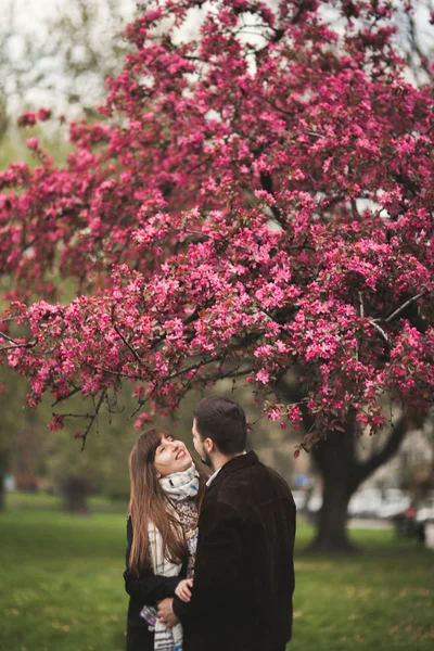 Miłości para pod drzewem z kwiatem w parku — Zdjęcie stockowe