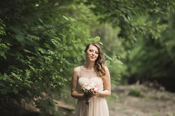 Mooie luxe jonge bruid inwedding jurk staande in de buurt van rivier met bergen op achtergrond — Stockfoto