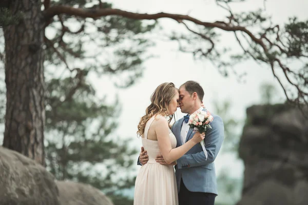 Preciosa novia, novio besándose y abrazándose cerca de los acantilados con impresionantes vistas — Foto de Stock