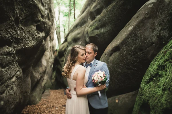 华丽的婚礼情侣接吻和拥抱在森林里的大石头 — 图库照片