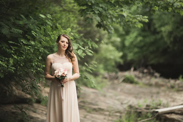 Krásné luxusní mladá nevěsta inwedding šaty stojící poblíž řeky s horami na pozadí — Stock fotografie