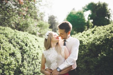 Genç güzel çift öpüşme ve ağaçları ile çiçeği yaz Park yakınındaki sarılma