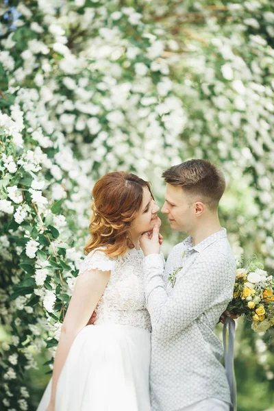 Bonito, casal perfeito posando em seu dia do casamento — Fotografia de Stock