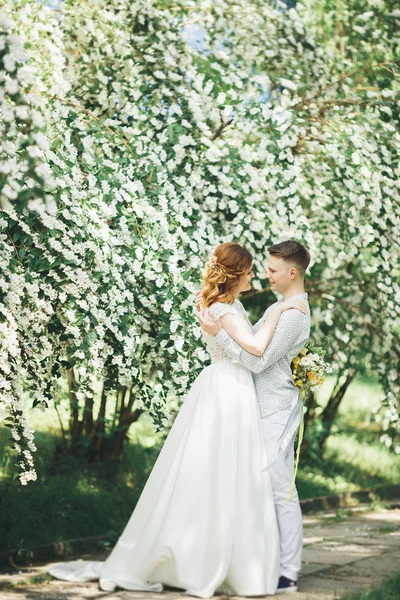 Casal feliz caminhando em um parque botânico — Fotografia de Stock