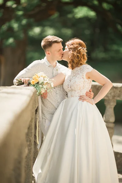 Beau couple de mariage romantique de jeunes mariés câlins dans le parc au coucher du soleil — Photo