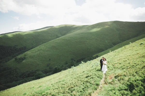 Bella coppia di sposi, sposi, innamorati sullo sfondo delle montagne — Foto Stock