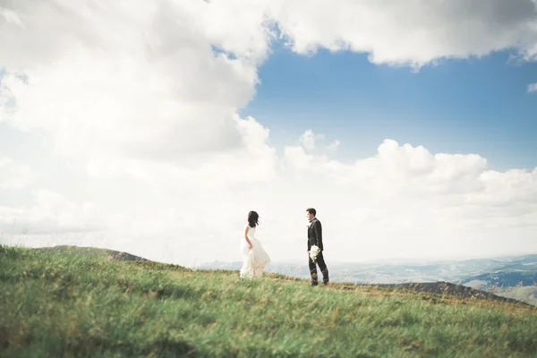 Besos boda pareja estancia sobre hermoso paisaje — Foto de Stock