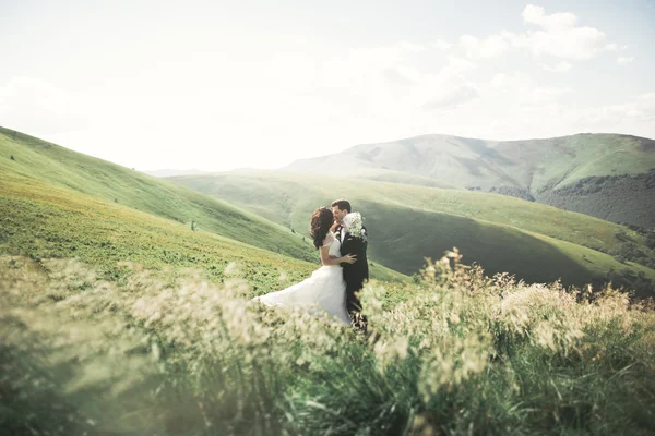 Hermosa novia fabulosa feliz y elegante novio posando en el fondo de las impresionantes montañas soleadas — Foto de Stock