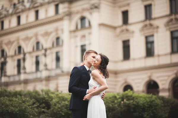 Hermosa pareja de boda, novia, novio besándose y abrazándose contra el fondo del teatro — Foto de Stock