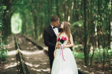 Mutlu düğün çift büyüleyici damat ve mükemmel gelin parkta poz