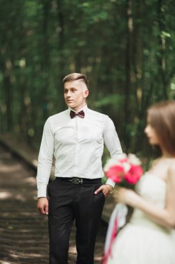 Muhteşem gülümseyen damat. Yakışıklı bir paketindeki