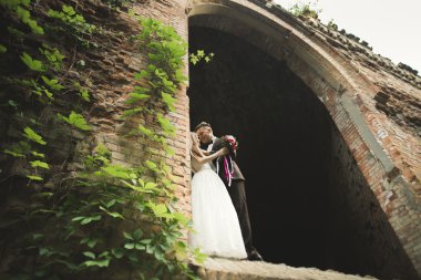 Mutlu yeni evliler yürüyüşte antik castle yakınındaki oteller