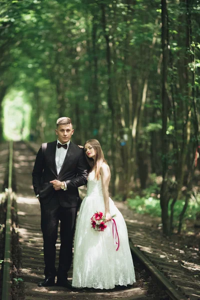Luxo elegante jovem noiva e noivo no fundo primavera ensolarado floresta verde — Fotografia de Stock