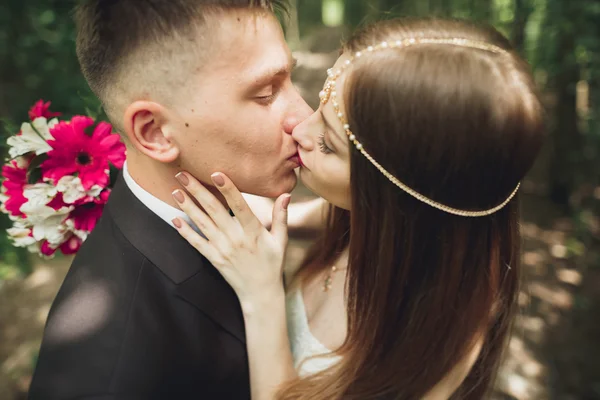 Casal jovem bonito está beijando e sorrindo no parque — Fotografia de Stock