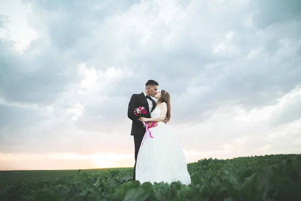 Preciosa pareja joven novia y novio en el fondo de la puesta del sol. Hermoso cielo —  Fotos de Stock