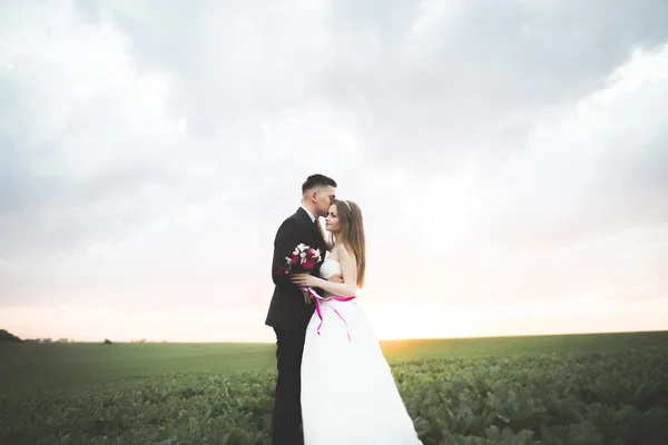 Casal encantador jovem noiva e noivo no fundo por do sol. Céu bonito — Fotografia de Stock