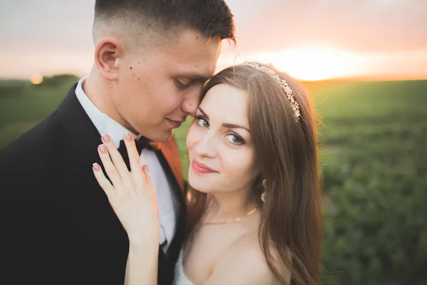 Casamento, bela noiva romântica e noivo beijar Abraçando ao pôr do sol — Fotografia de Stock