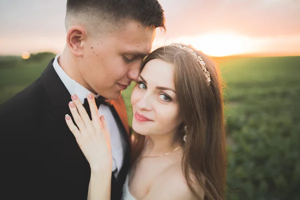 Boda, hermosa novia romántica y novio besándose abrazándose al atardecer —  Fotos de Stock