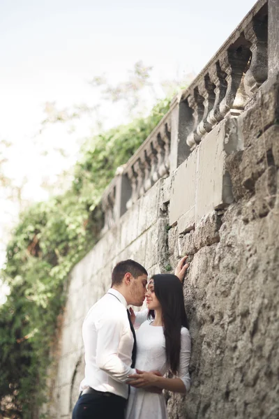 Lindo recém-casado posando perto de bela parede de plantas arbustos árvores em seu dia do casamento — Fotografia de Stock