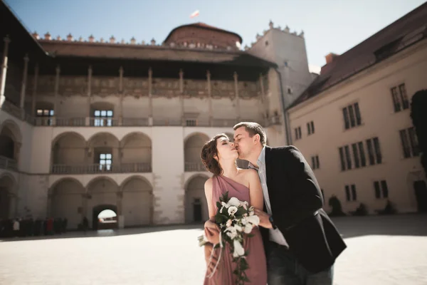 Felice coppia di nozze, sposo, sposa con abito rosa che si abbracciano e si sorridono sulle pareti di sfondo del castello — Foto Stock