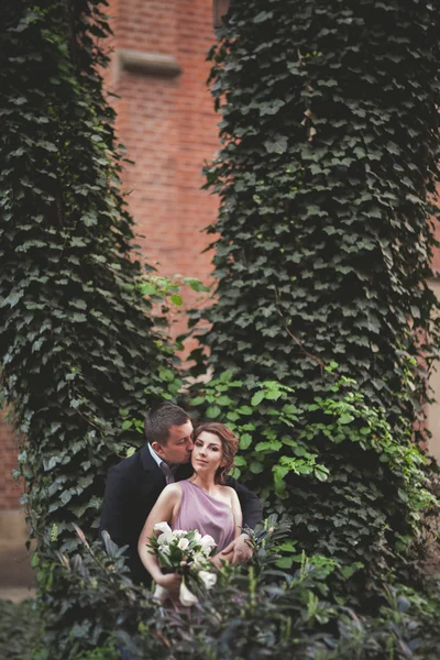 Coppia europea, sposa e sposo che si baciano nel parco vicino al grande albero — Foto Stock