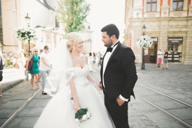 Mükemmel bir çift gelin ve damat düğün günlerinde poz verip öpüşürler.