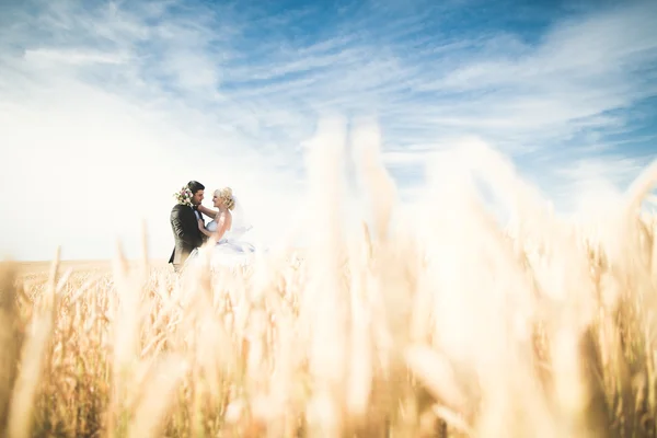 Elegant stylish happy blonde bride and gorgeous groom posing in wheat field on the background blue sky — Stock Photo, Image