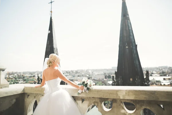 Bella sposa di lusso sul balcone con paesaggio perfetto — Foto Stock