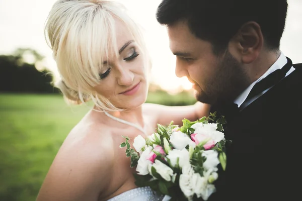 Жених держит и целует свою невесту на фоне заката — стоковое фото