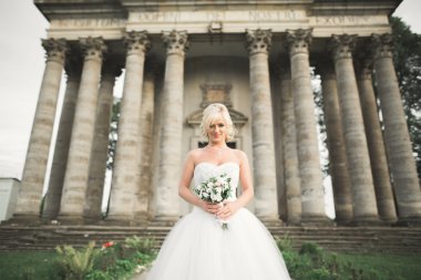 Muhteşem romantik zarif stil güzel beyaz gelin arka planda antik barok kalesinde