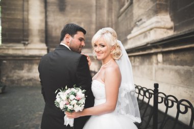 Lüks evli çift, gelin ve damat eski şehirde poz veriyor.