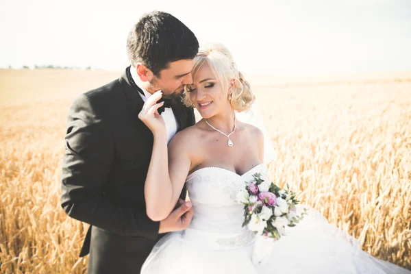 Hermosa pareja en el campo, Amantes o recién casados posando con el cielo azul perfecto — Foto de Stock